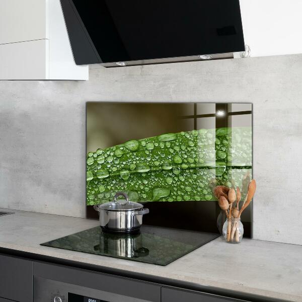 Skleněný panel Zelený list po dešti