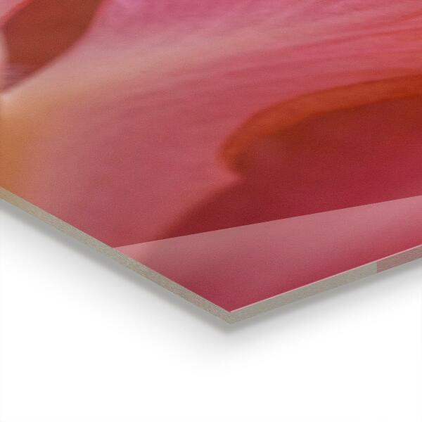 Skleněný panel Květ pyl příroda