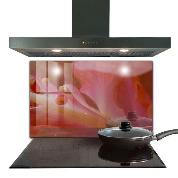 Skleněný panel Květ pyl příroda