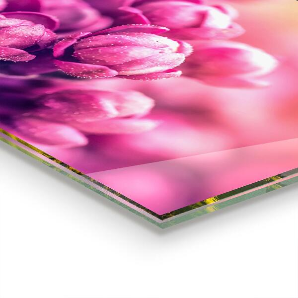Skleněný panel Přirozená krása růžové lilie