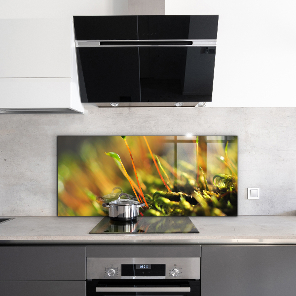 Skleněný panel Podrobnosti o lesním mechu