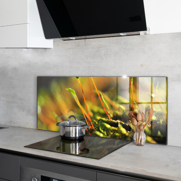 Skleněný panel Podrobnosti o lesním mechu