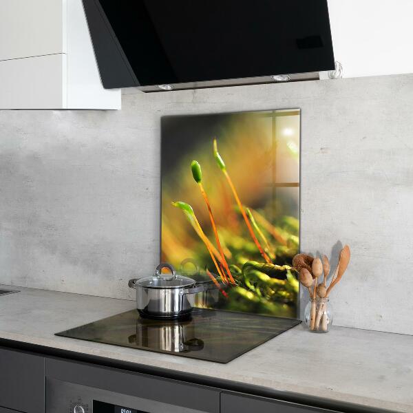 Skleněný panel Podrobnosti o lesním mechu