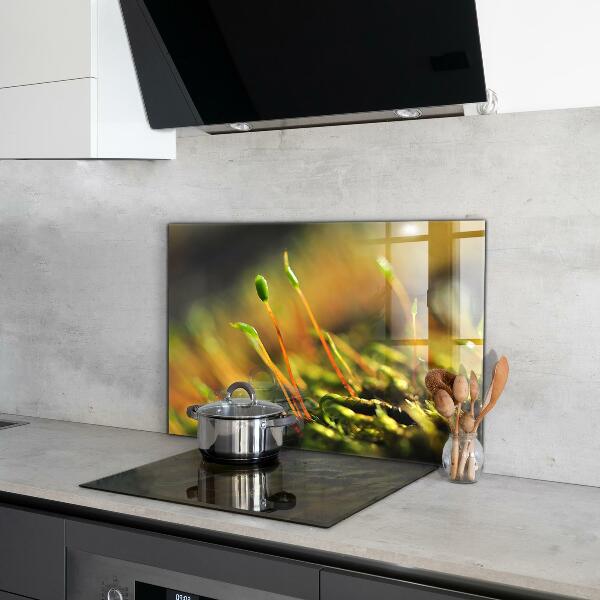 Skleněný panel Podrobnosti o lesním mechu