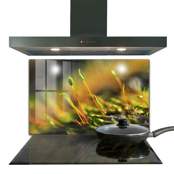 Skleněný panel Podrobnosti o lesním mechu