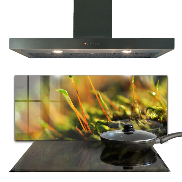 Skleněný panel Podrobnosti o lesním mechu