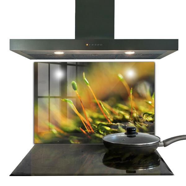 Skleněný panel Podrobnosti o lesním mechu