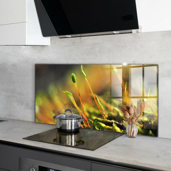 Skleněný panel Podrobnosti o lesním mechu