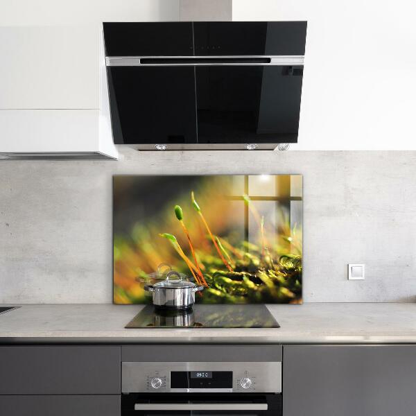 Skleněný panel Podrobnosti o lesním mechu