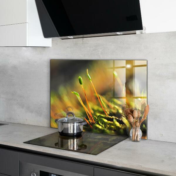 Skleněný panel Podrobnosti o lesním mechu