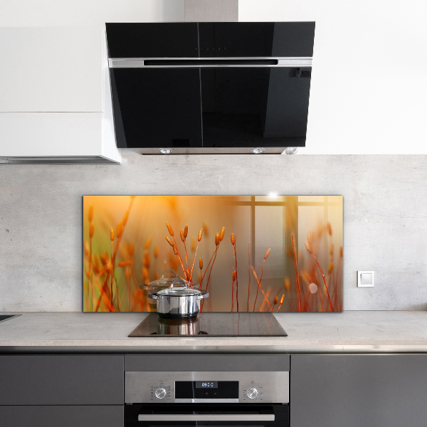 Skleněný panel Obilné pole při západu slunce