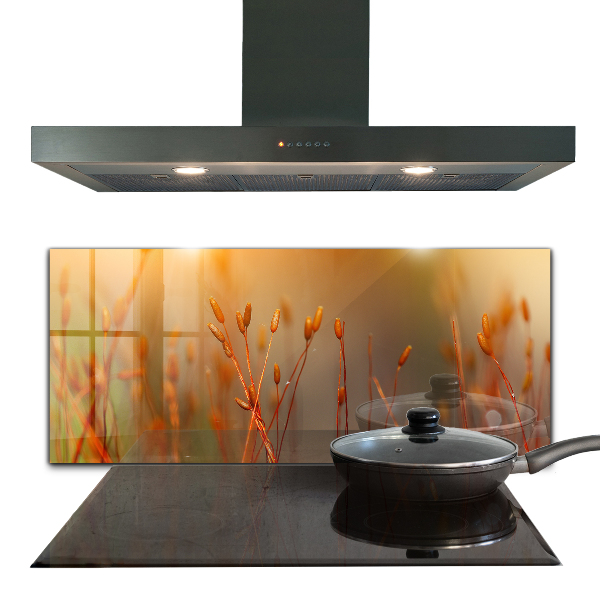 Skleněný panel Obilné pole při západu slunce