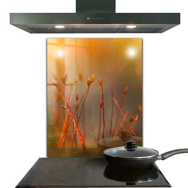 Skleněný panel Obilné pole při západu slunce