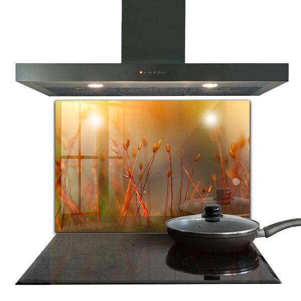 Skleněný panel Obilné pole při západu slunce