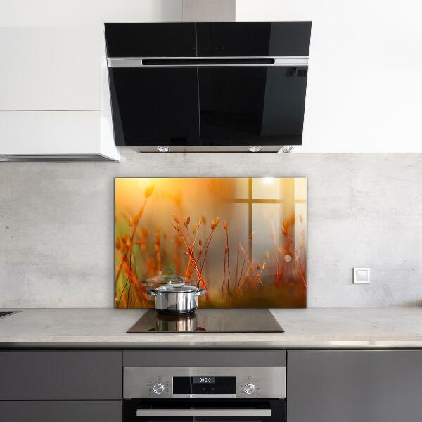 Skleněný panel Obilné pole při západu slunce