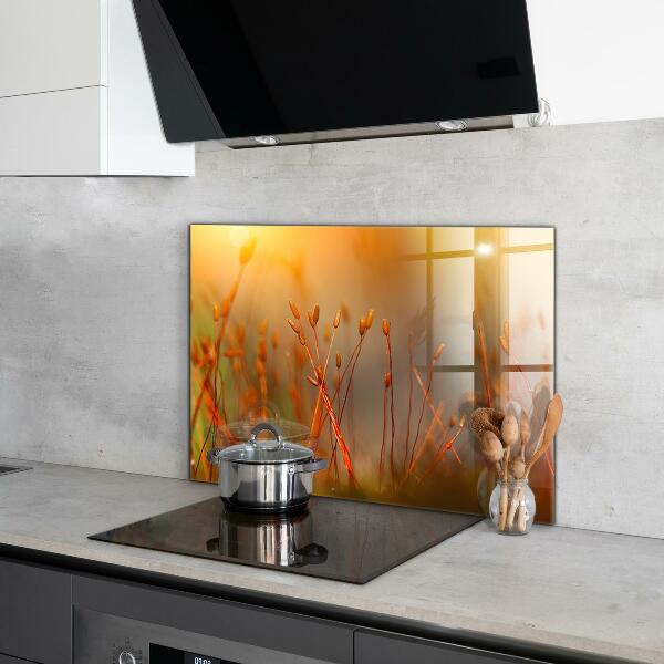 Skleněný panel Obilné pole při západu slunce