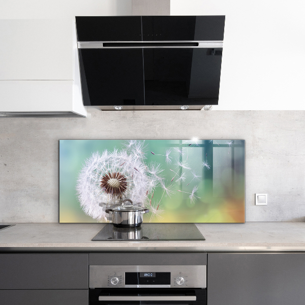 Skleněný panel Pampeliška pampeliška ve větru