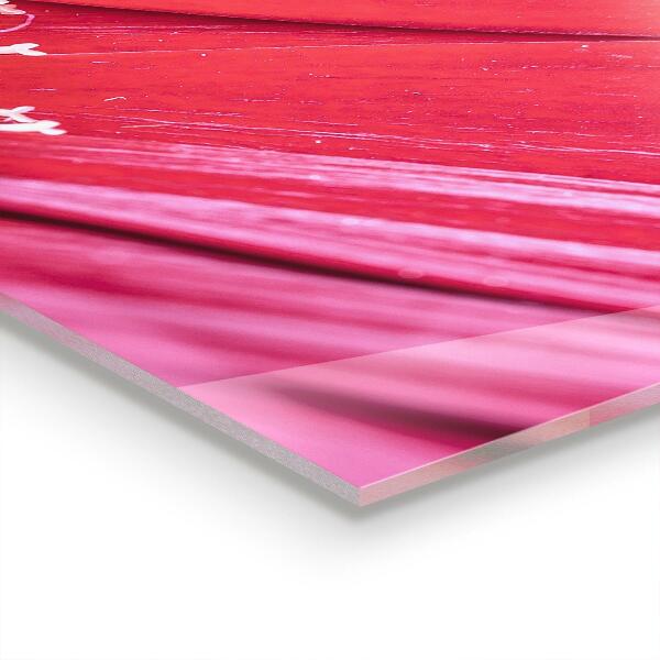 Skleněný panel Pink flower nature details