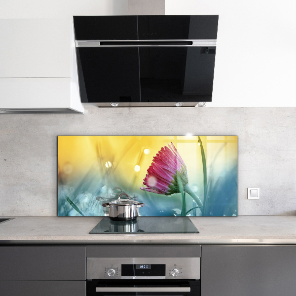 Skleněný panel Jemná daisy na louce