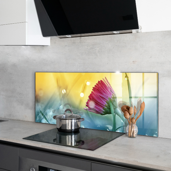 Skleněný panel Jemná daisy na louce