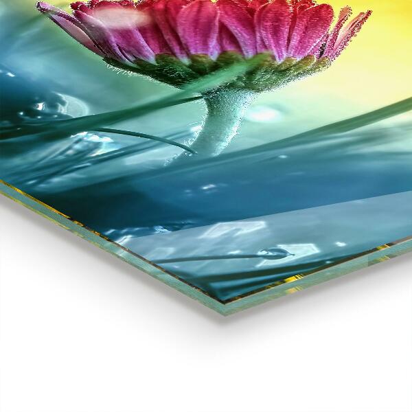 Skleněný panel Jemná daisy na louce