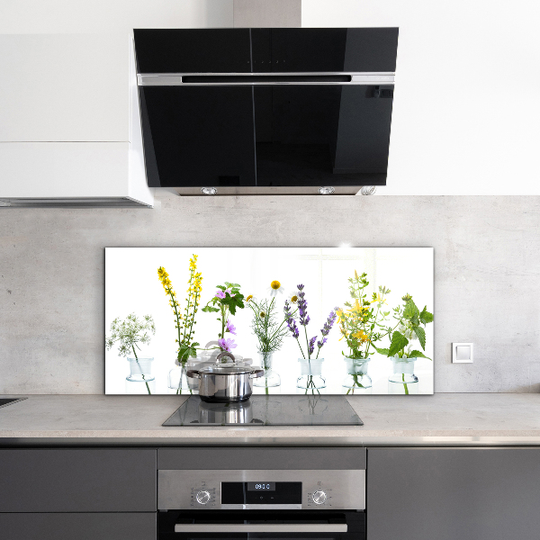 Skleněný panel Přírodní bylinky zdraví