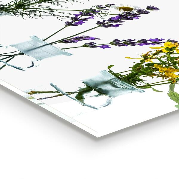 Skleněný panel Přírodní bylinky zdraví