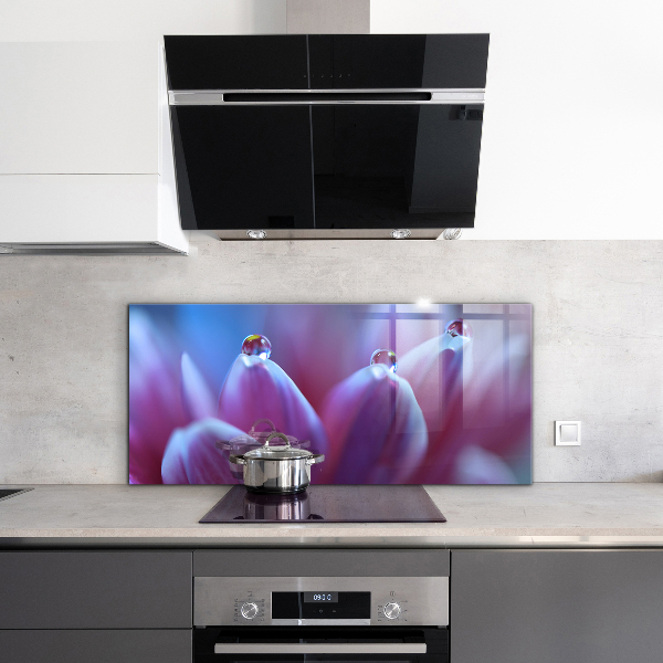 Skleněný panel Kapky rosy fialový květ