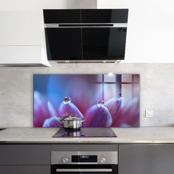 Skleněný panel Kapky rosy fialový květ