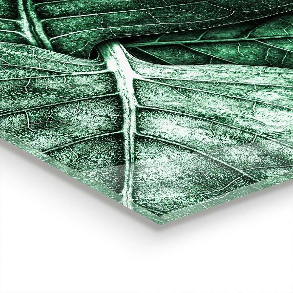 Skleněný panel Podrobnosti o zeleném listu