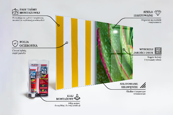 Skleněný panel Sukulentní skalnická zelená zahrada