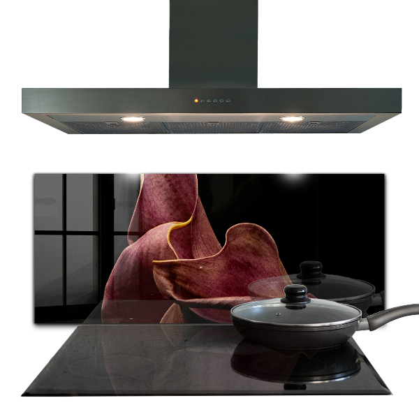 Skleněný panel Elegantní delikátní list