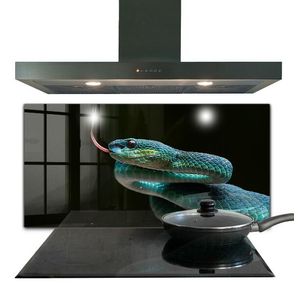Skleněný panel Snake wildlife