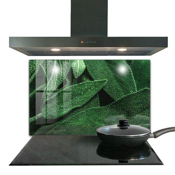 Skleněný panel Zelené listy po dešti