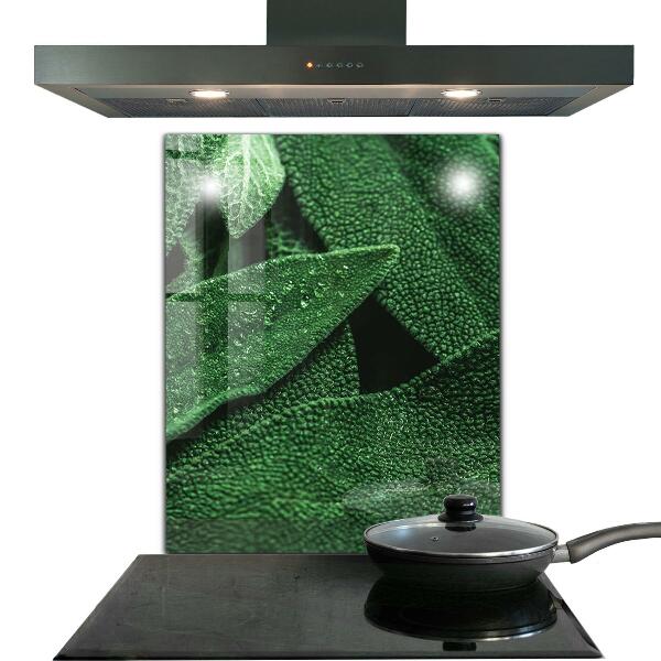 Skleněný panel Zelené listy po dešti