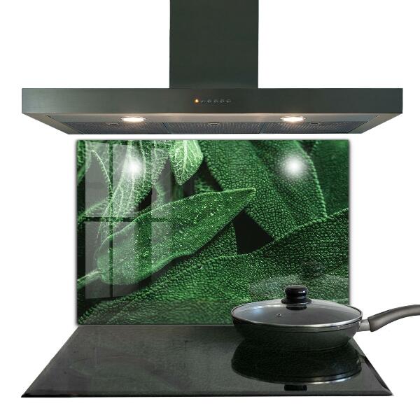 Skleněný panel Zelené listy po dešti