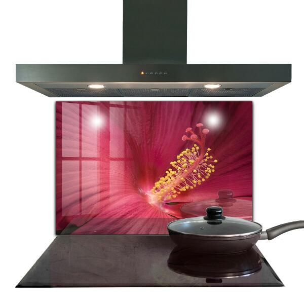 Skleněný panel Růžový ibišek