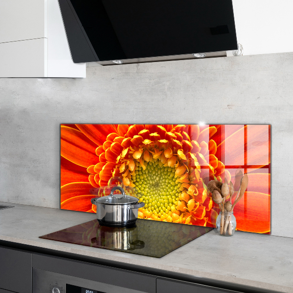 Skleněný panel Květ oranžová gerbera