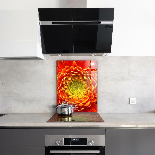 Skleněný panel Květ oranžová gerbera