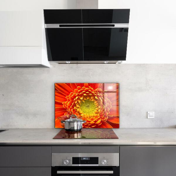 Skleněný panel Květ oranžová gerbera