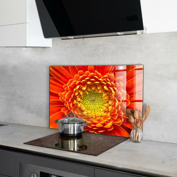 Skleněný panel Květ oranžová gerbera