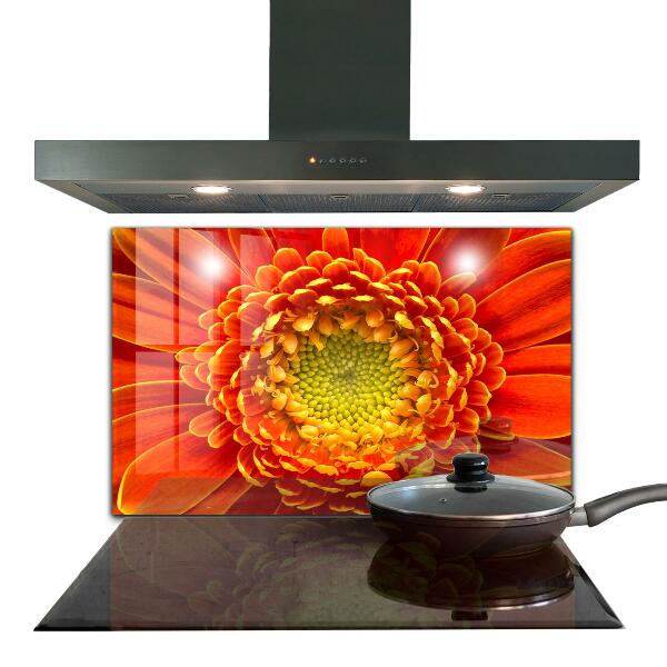 Skleněný panel Květ oranžová gerbera