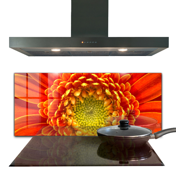 Skleněný panel Květ oranžová gerbera