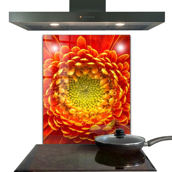 Skleněný panel Květ oranžová gerbera