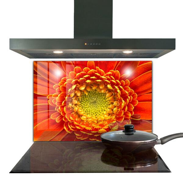 Skleněný panel Květ oranžová gerbera