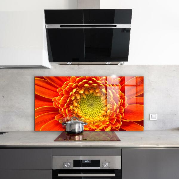 Skleněný panel Květ oranžová gerbera
