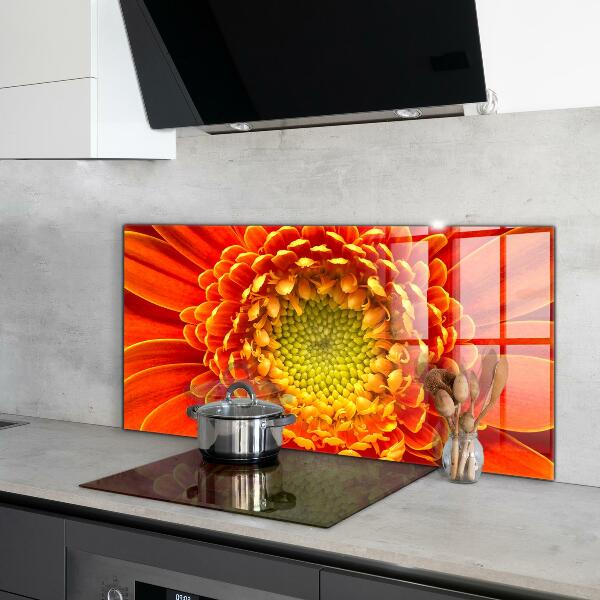 Skleněný panel Květ oranžová gerbera