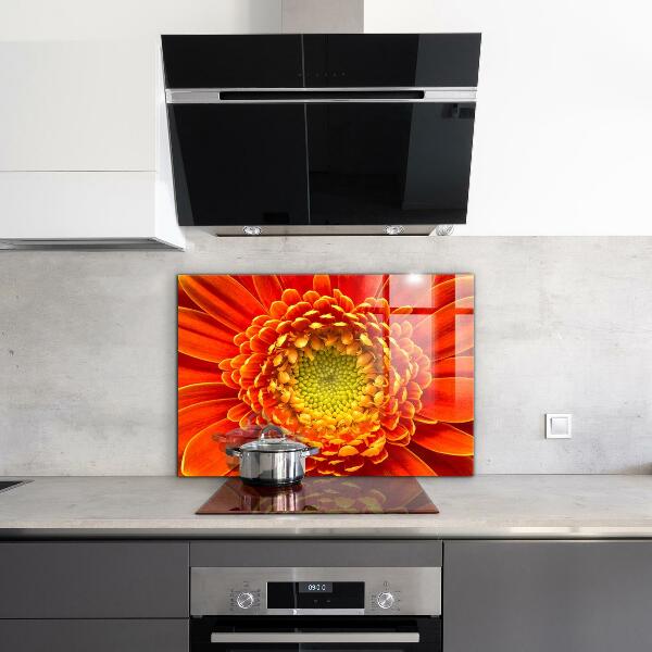 Skleněný panel Květ oranžová gerbera