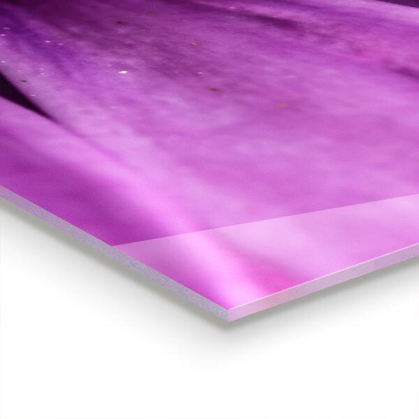 Skleněné obklady do kuchyně Fialová letní květina