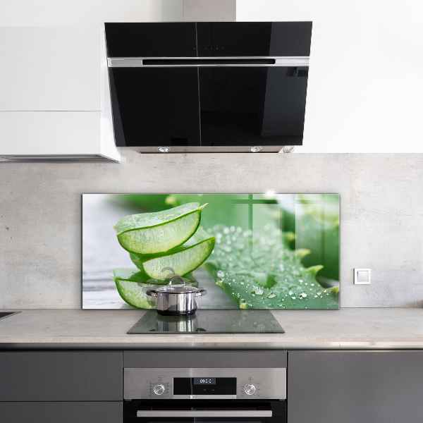 Skleněné obklady do kuchyně Aloe rostlina aloe vera